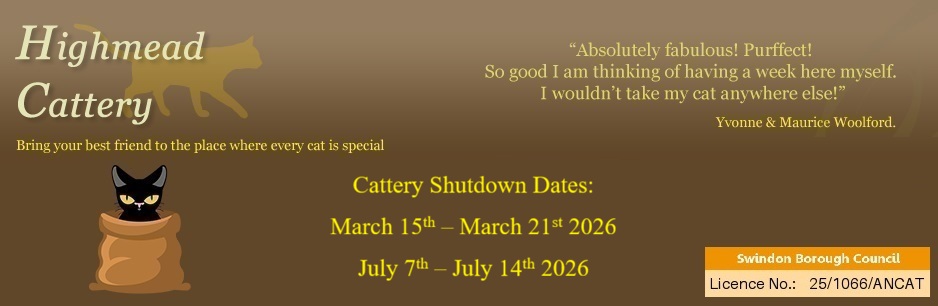 Highmead Cattery - Bring your best friend to the place where every cat is special